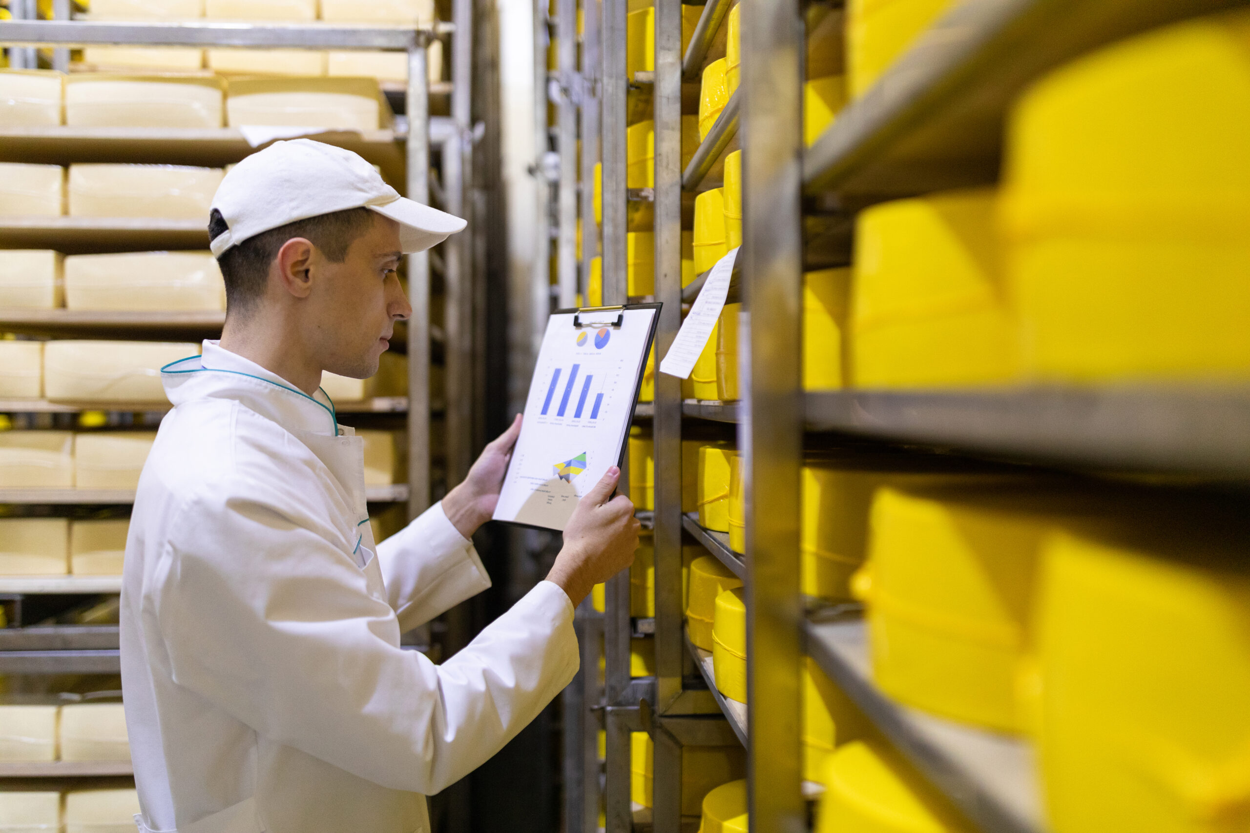 man with a graph in his hand checks the statistics in the cheese warehouse